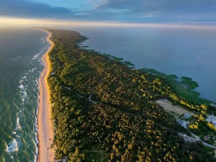 Куршская коса и Зеленоградск + дегустация в сыроварне Шаакендорф