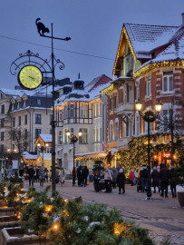 Куршская коса и Зеленоградск на машине