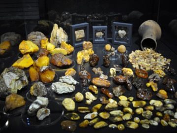 Светлогорск + Янтарный: Must-See побережья за один день Светлогорск + Янтарный: Must-See побережья за один день