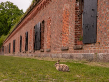 Калининград: от острова Канта до неприступного форта Калининград: от острова Канта до неприступного форта