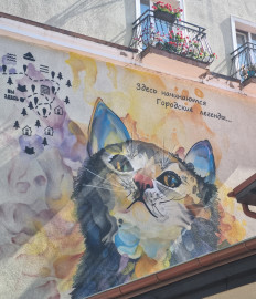 Приватное путешествие к заповедной косе и городу котов Приватное путешествие к заповедной косе и городу котов