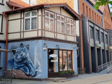 Идеальное путешествие по Куршской косе и Зеленоградску