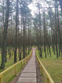 Приватное путешествие к заповедной косе и городу котов Приватное путешествие к заповедной косе и городу котов