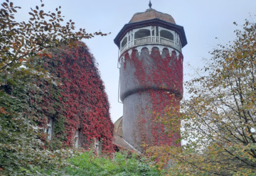 Водогрязелечебница и башня Водогрязелечебница и башня