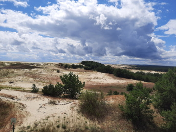 Куршская коса и Зеленоградск на машине