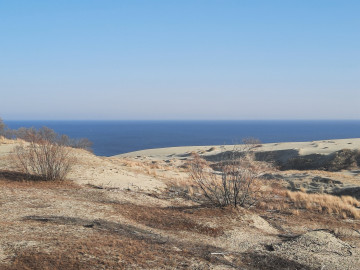 Приватное путешествие к заповедной косе и городу котов Приватное путешествие к заповедной косе и городу котов