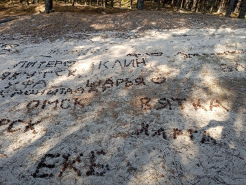 Приватное путешествие к заповедной косе и городу котов