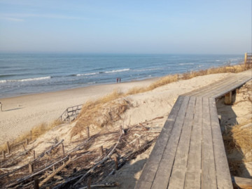 Приватное путешествие к заповедной косе и городу котов