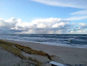 Куршская коса и Зеленоградск на машине