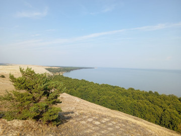 Куршская коса и Зеленоградск + дегустация в сыроварне Шаакендорф