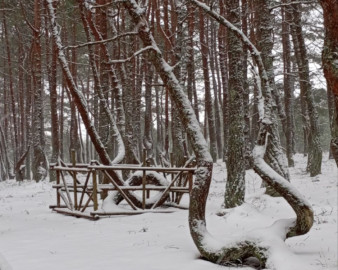 Заповедная Куршская коса
