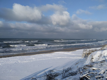 Куршская коса и Зеленоградск + дегустация в сыроварне Шаакендорф
