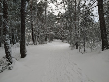 Зеленоградск и Куршская коса: идеальное путешествие