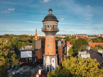 Приватное путешествие к заповедной косе и городу котов