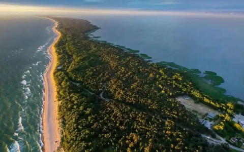 Куршская коса Куршская коса