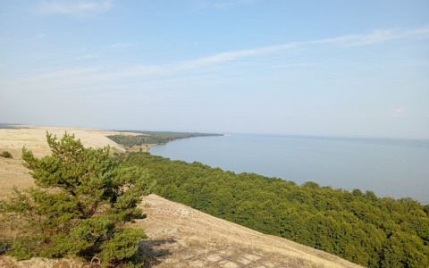 Заповедная Куршская коса