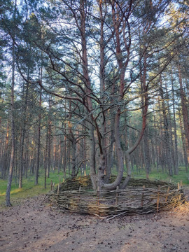 Знакомство с Куршской косой и прогулки по Зеленоградску Знакомство с Куршской косой и прогулки по Зеленоградску