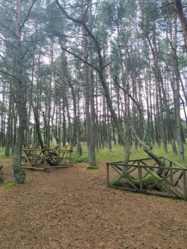 Знакомство с Куршской косой и прогулки по Зеленоградску Знакомство с Куршской косой и прогулки по Зеленоградску