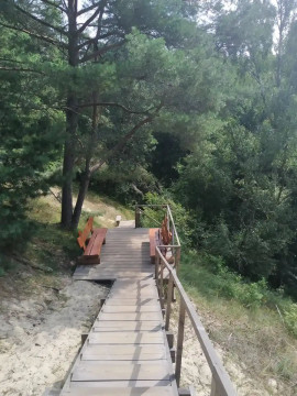 Знакомство с Куршской косой и прогулки по Зеленоградску Знакомство с Куршской косой и прогулки по Зеленоградску