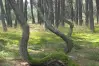 Зеленоградск и Куршская коса: идеальное путешествие Зеленоградск и Куршская коса: идеальное путешествие